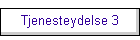 Tjenesteydelse 3